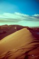 /album/galeria-de-fotos-chile-deserto-do-atacama/a485379-233569930118326-1155968859-n-427x640-jpg1/